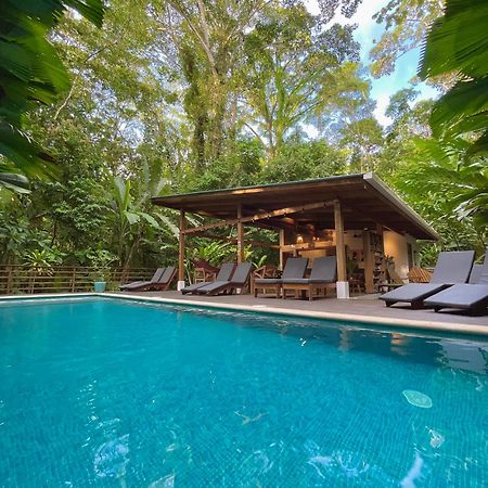 Satta Lodge (Adults Only) Puerto Viejo de Talamanca Zewnętrze zdjęcie
