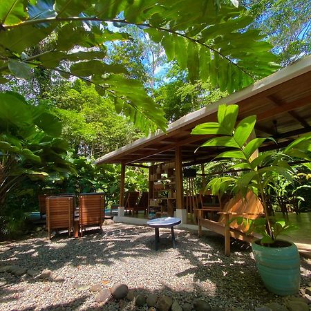Satta Lodge (Adults Only) Puerto Viejo de Talamanca Zewnętrze zdjęcie