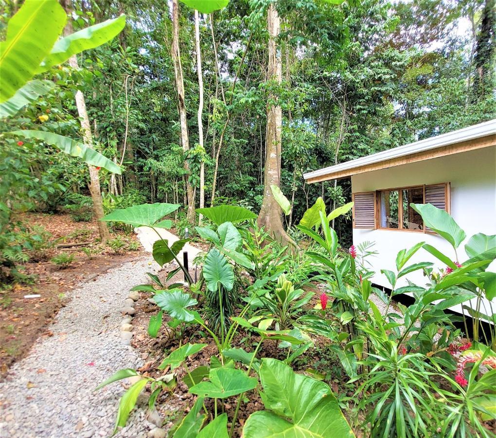 Satta Lodge (Adults Only) Puerto Viejo de Talamanca Zewnętrze zdjęcie