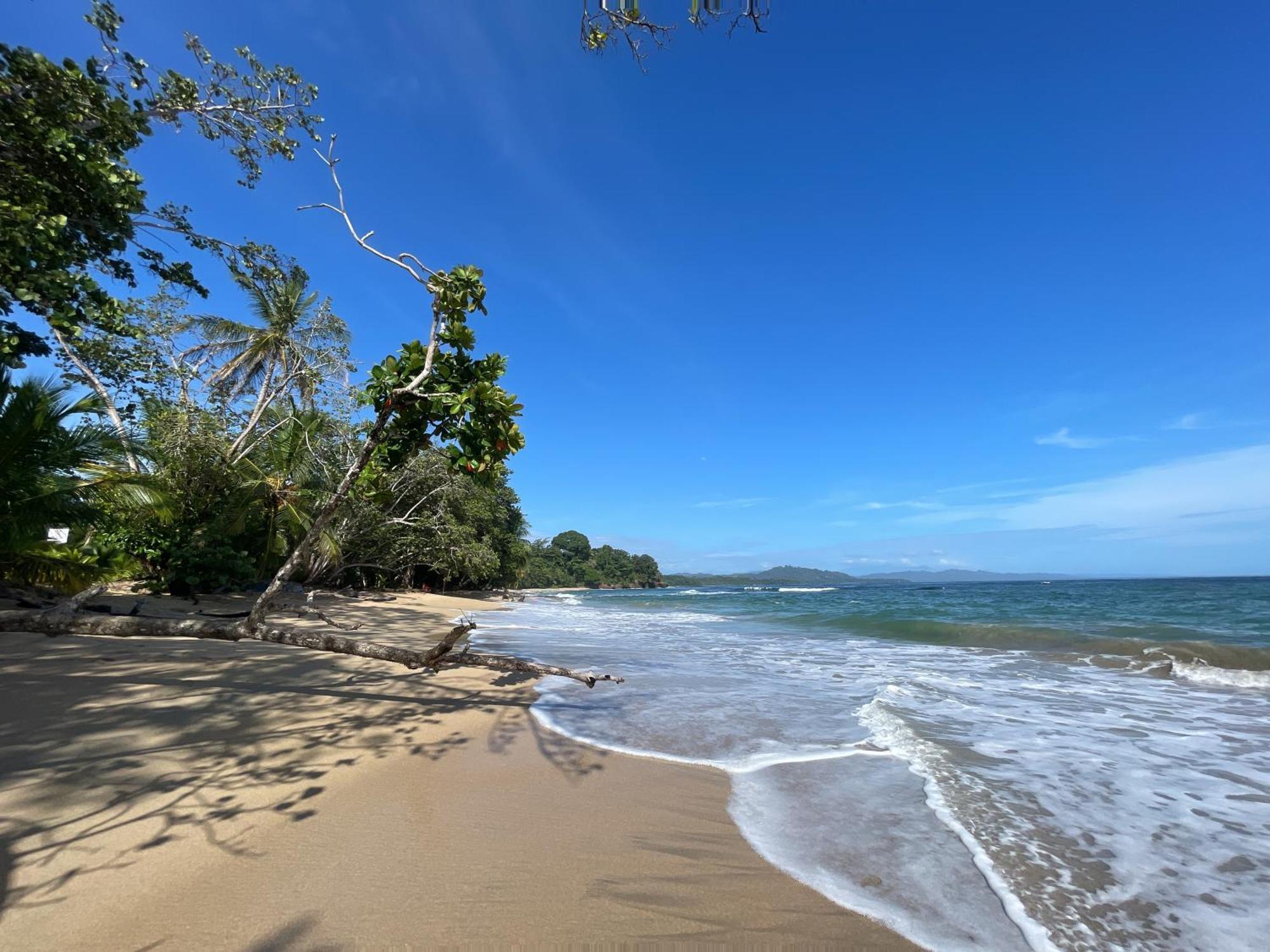 Satta Lodge (Adults Only) Puerto Viejo de Talamanca Zewnętrze zdjęcie