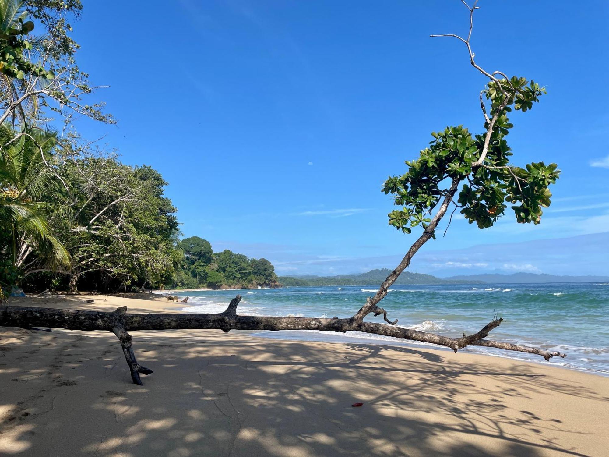 Satta Lodge (Adults Only) Puerto Viejo de Talamanca Zewnętrze zdjęcie