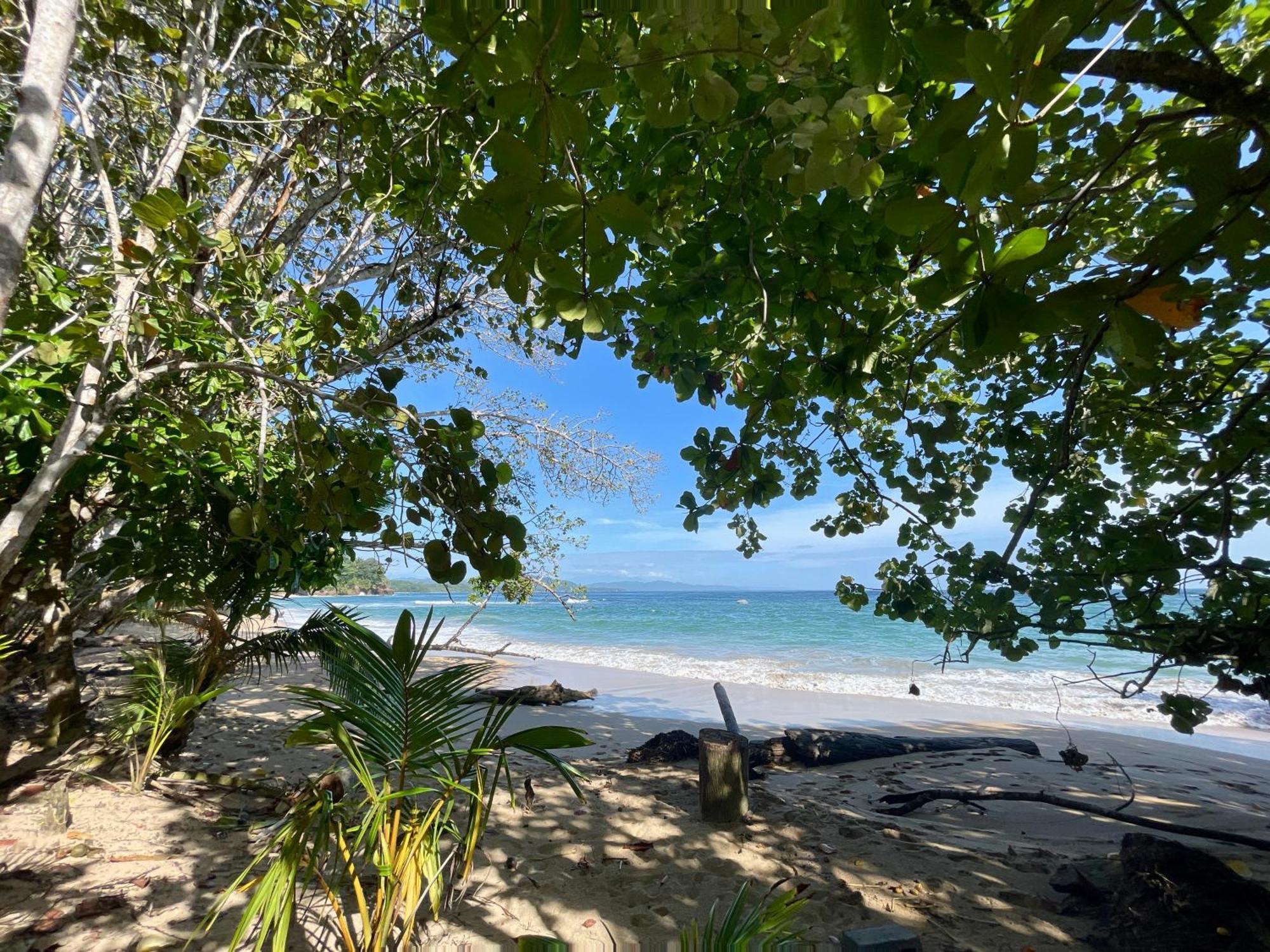 Satta Lodge (Adults Only) Puerto Viejo de Talamanca Zewnętrze zdjęcie