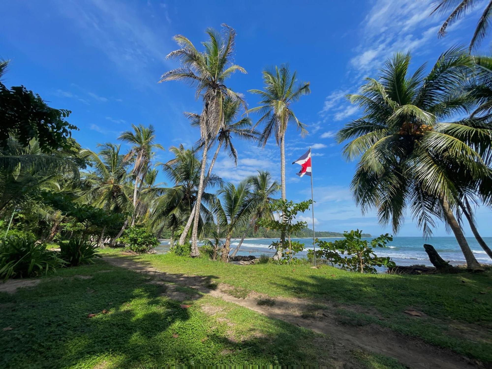 Satta Lodge (Adults Only) Puerto Viejo de Talamanca Zewnętrze zdjęcie