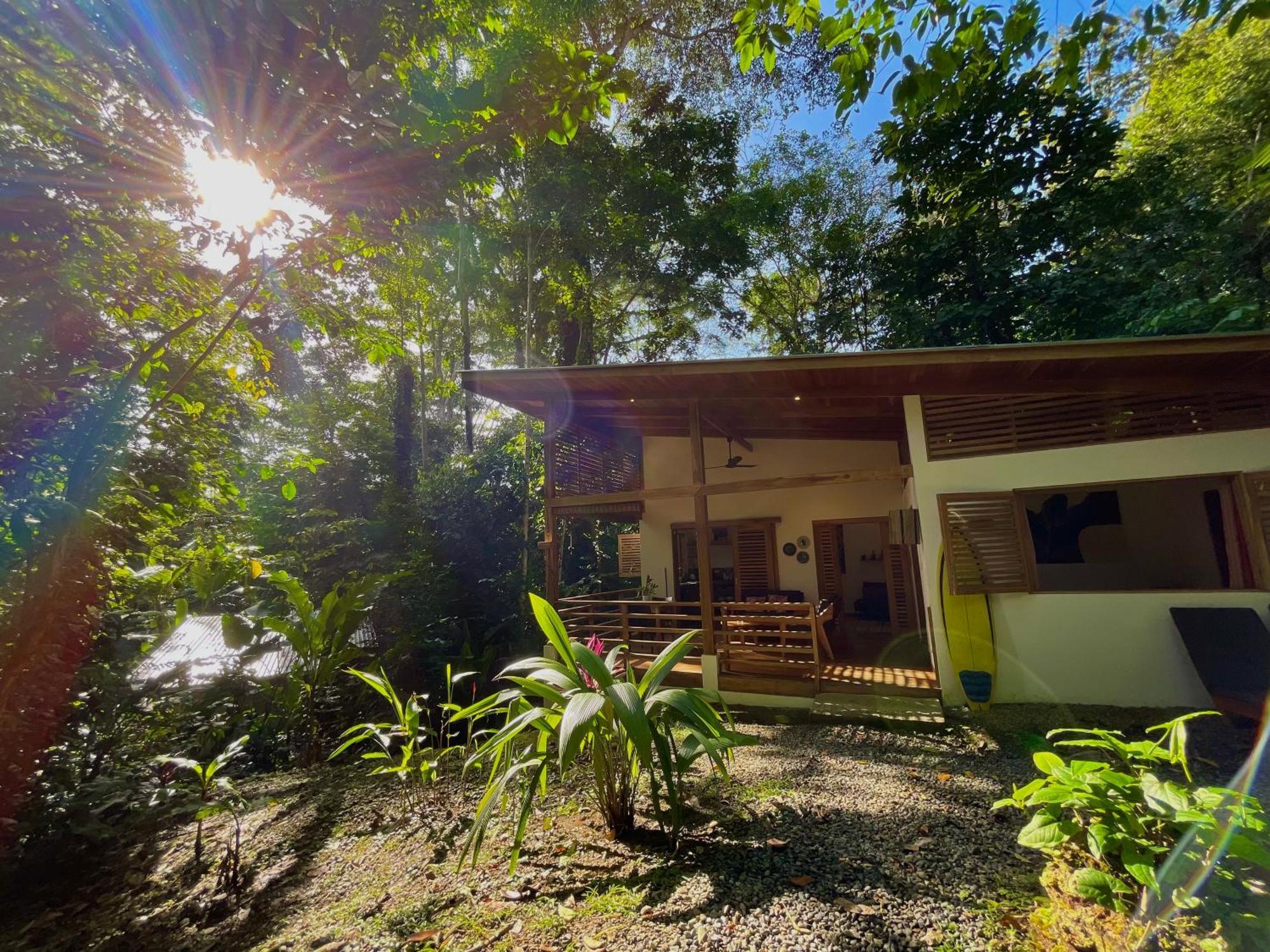 Satta Lodge (Adults Only) Puerto Viejo de Talamanca Zewnętrze zdjęcie