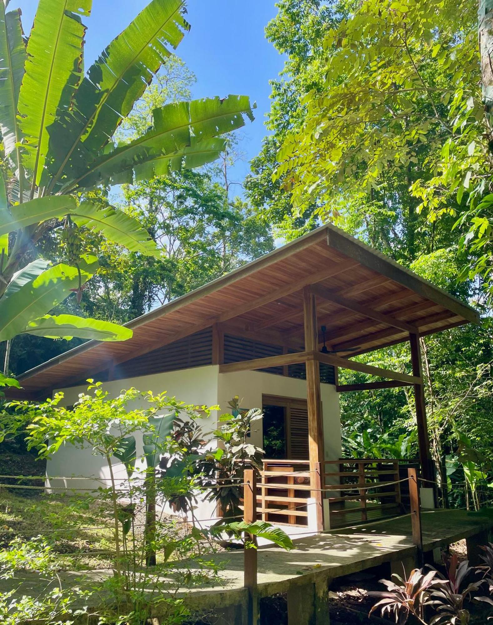 Satta Lodge (Adults Only) Puerto Viejo de Talamanca Zewnętrze zdjęcie