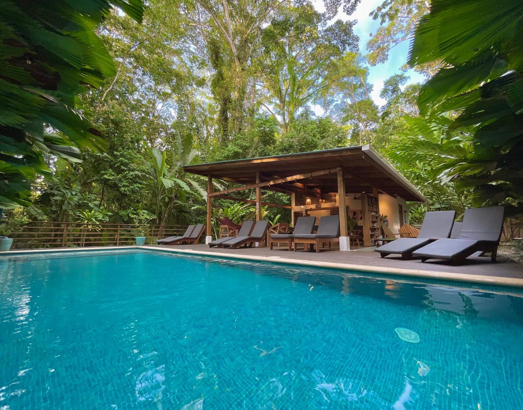 Satta Lodge (Adults Only) Puerto Viejo de Talamanca Zewnętrze zdjęcie