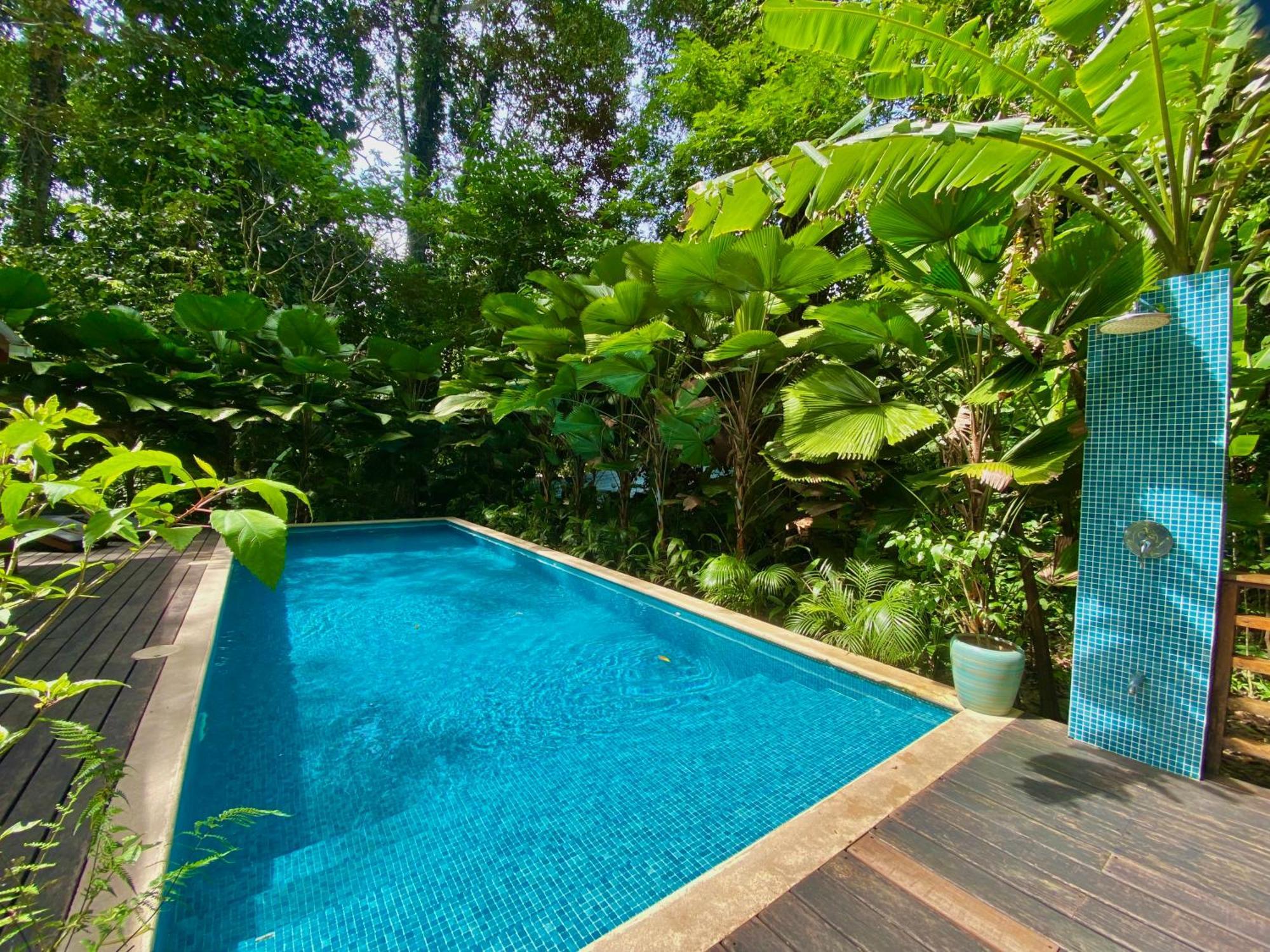 Satta Lodge (Adults Only) Puerto Viejo de Talamanca Zewnętrze zdjęcie