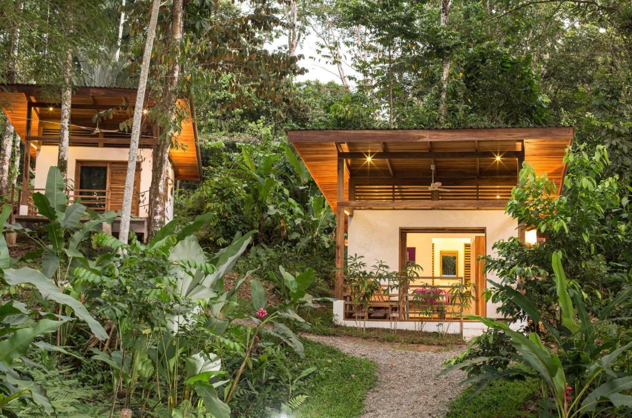 Satta Lodge (Adults Only) Puerto Viejo de Talamanca Zewnętrze zdjęcie